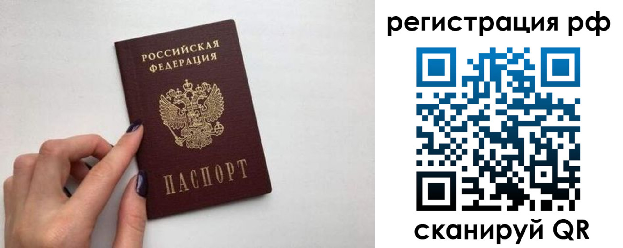 временная регистрация 2025 в Светлом